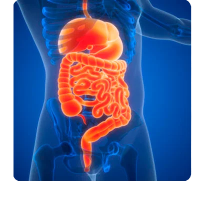 sintoma-imunidade
